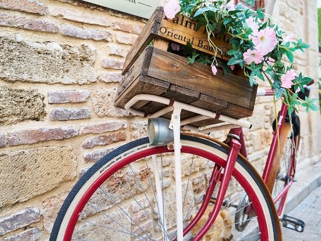 Vélo fleurs Destination Limoges office de tourisme intercommunal partenaire zénith de limoges métropole